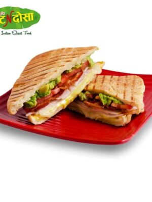 Veg Grill Sandwich